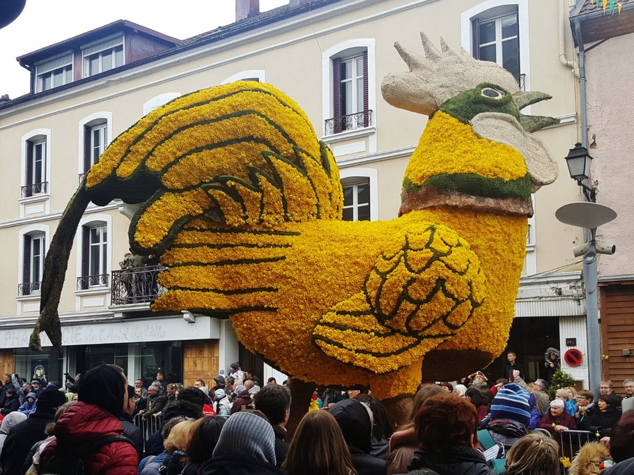 The daffodil festival...