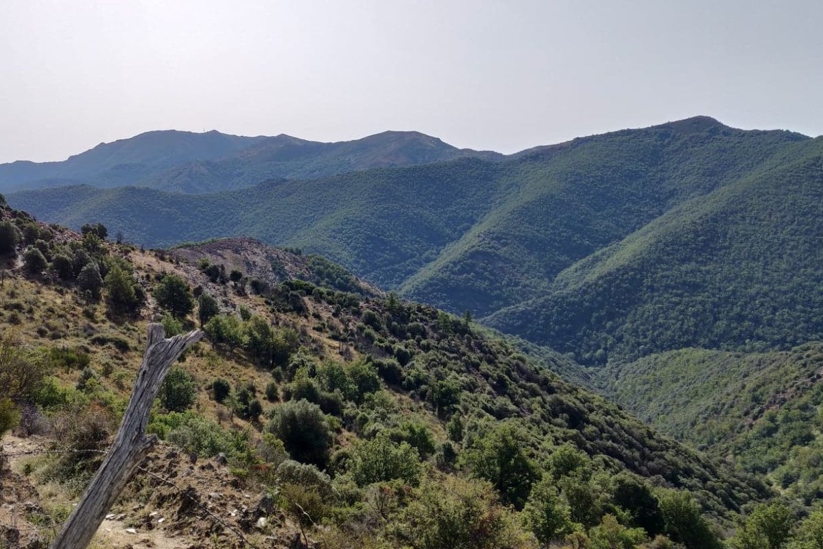 Photo n° 12 of the location