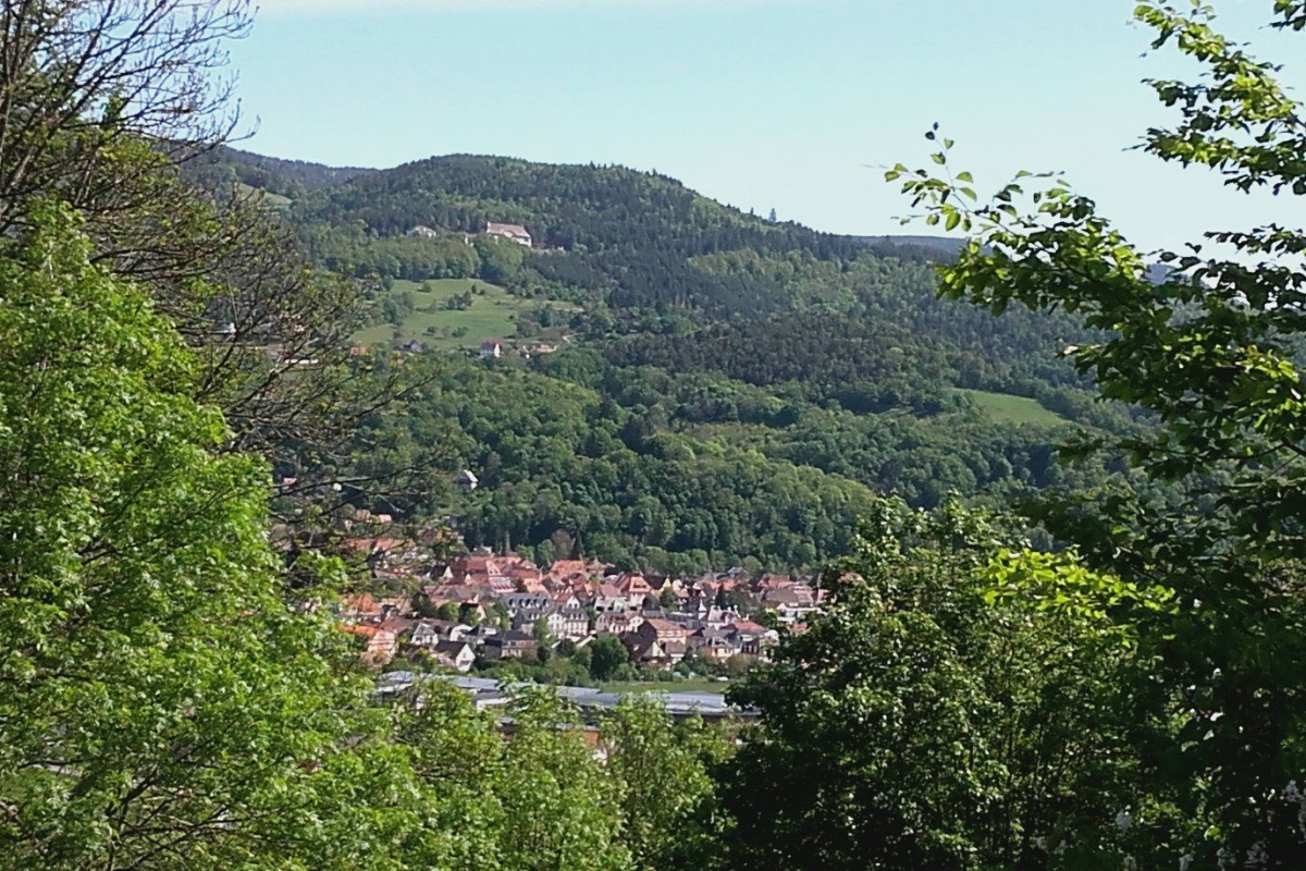 Vue sur Munster depuis la terrasse
