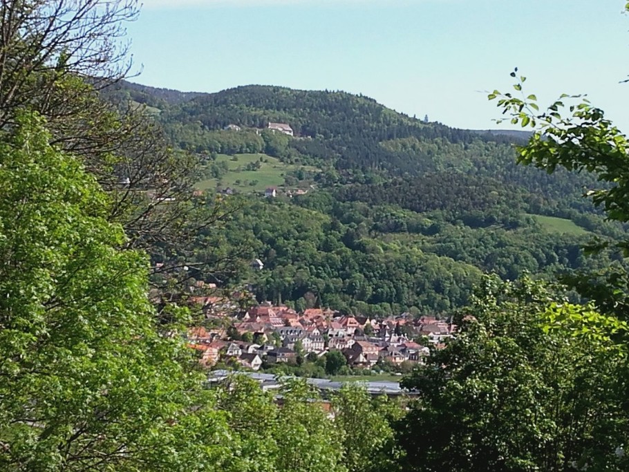 Vue sur Munster depuis la terrasse