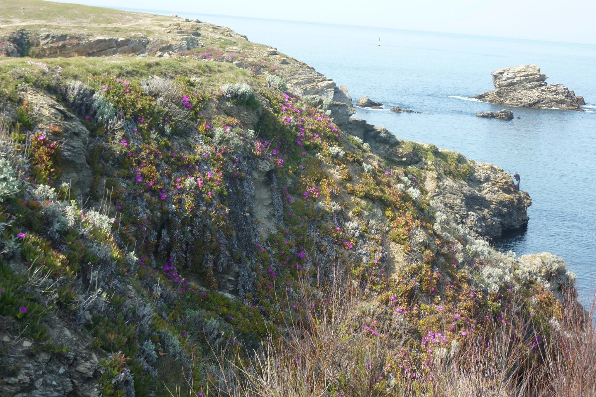 BELLE ILE