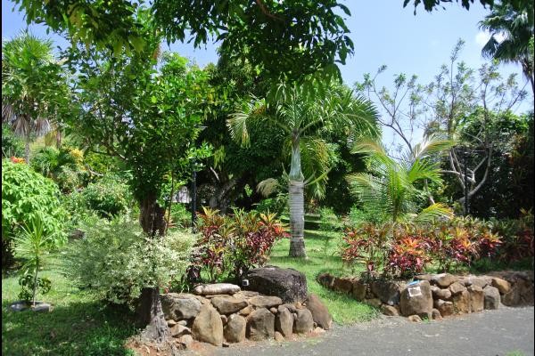 Photo n° 6 de la location