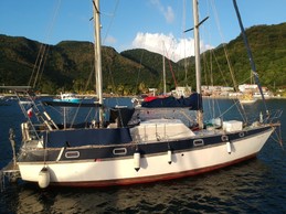 Bateau-logement au mouillage au milieu des tortues vertes