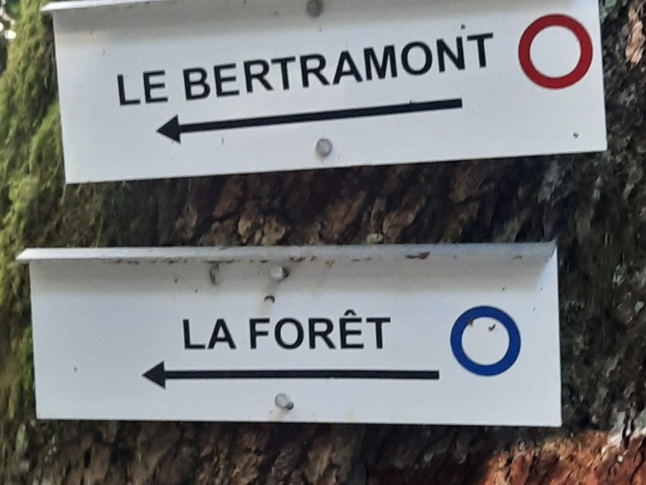 Nombreuses ballades en forêt à proximité - Le Chanot