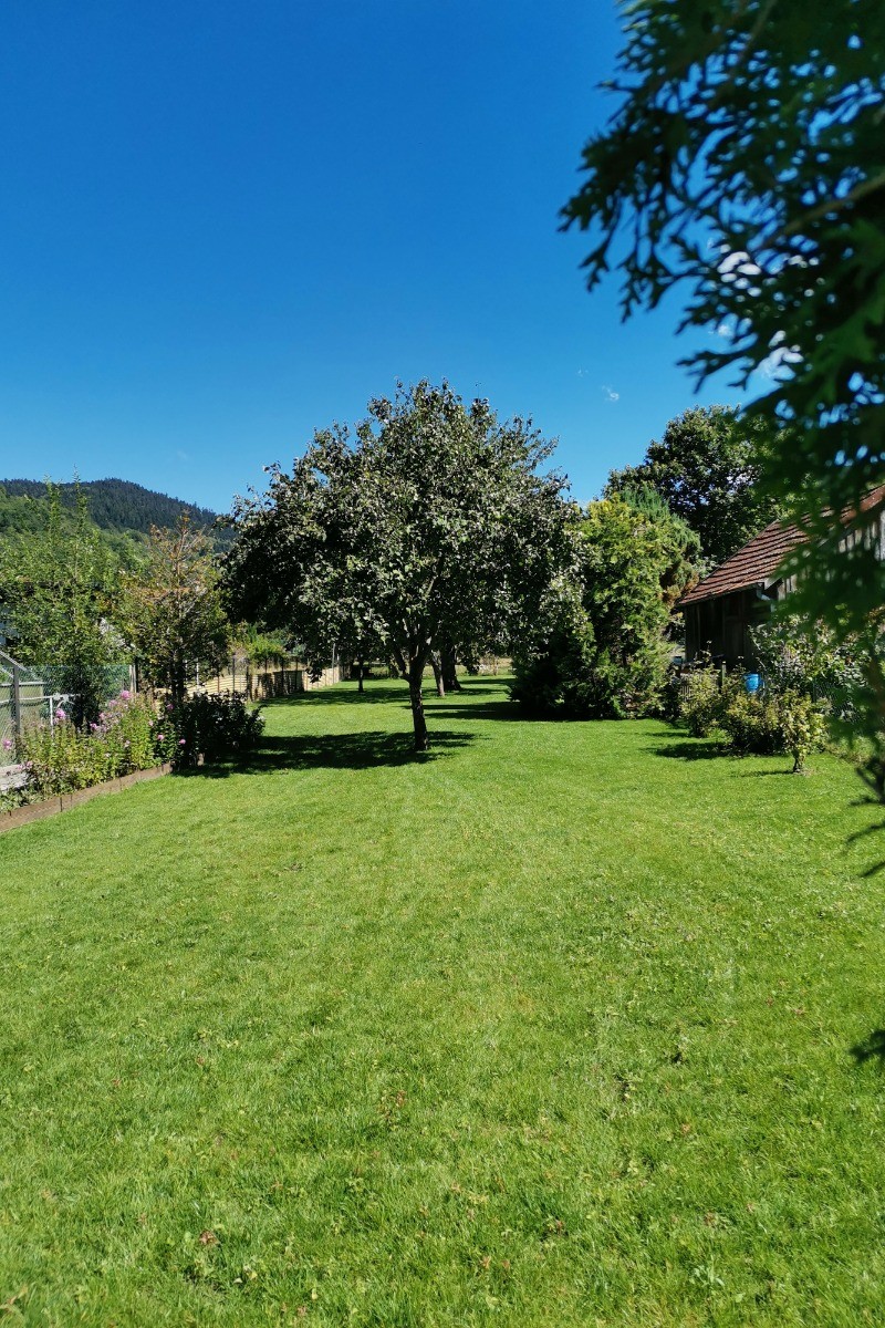 Jardin - Chambre d'hôtes au cœur des Vosges et proche de l'Alsace