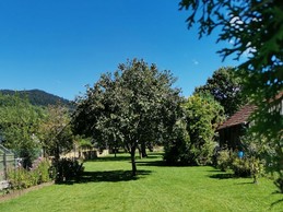 Jardin - Chambre d'hôtes au cœur des Vosges et proche de l'Alsace