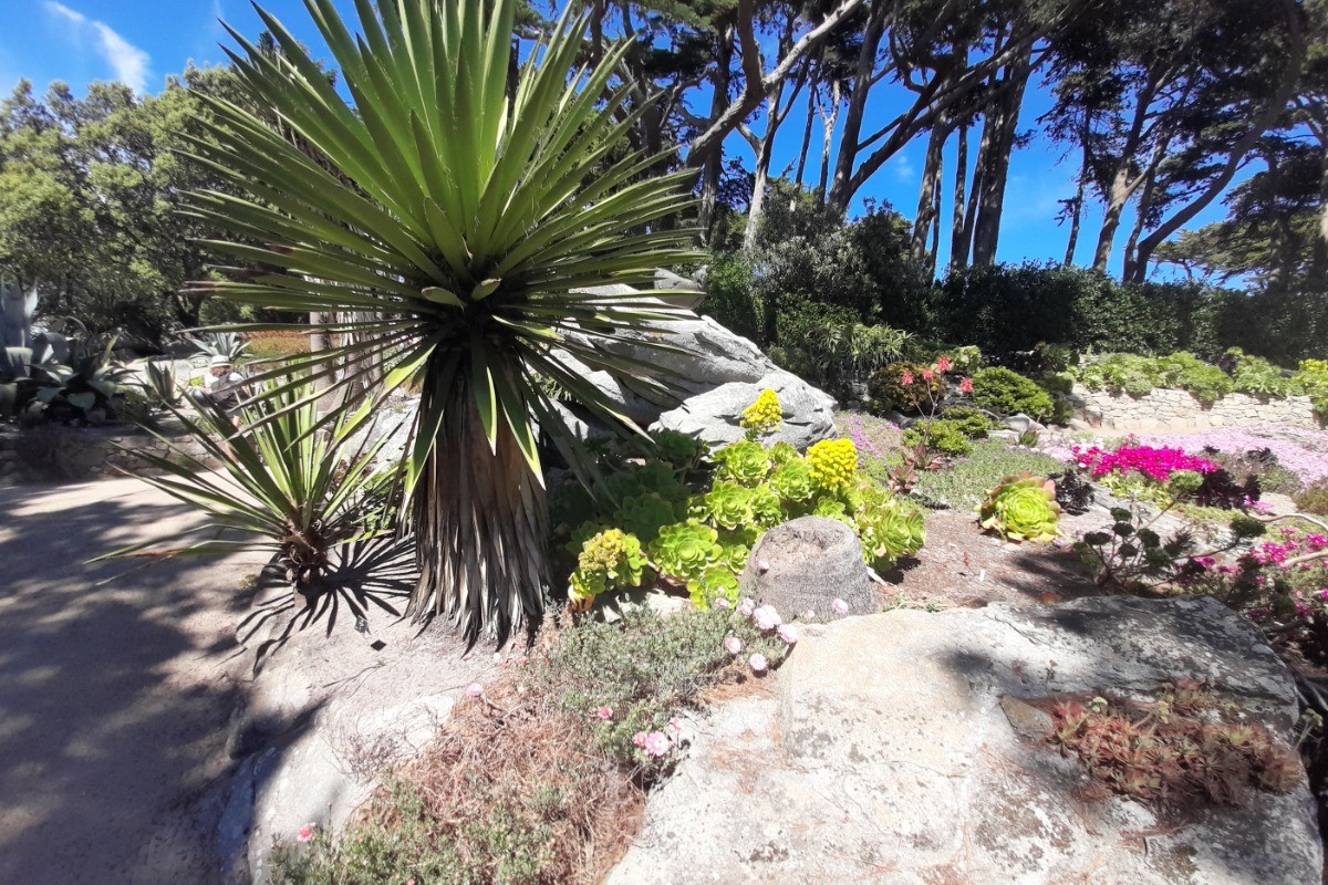 Jardin DELASELLE  Ile de BATZ