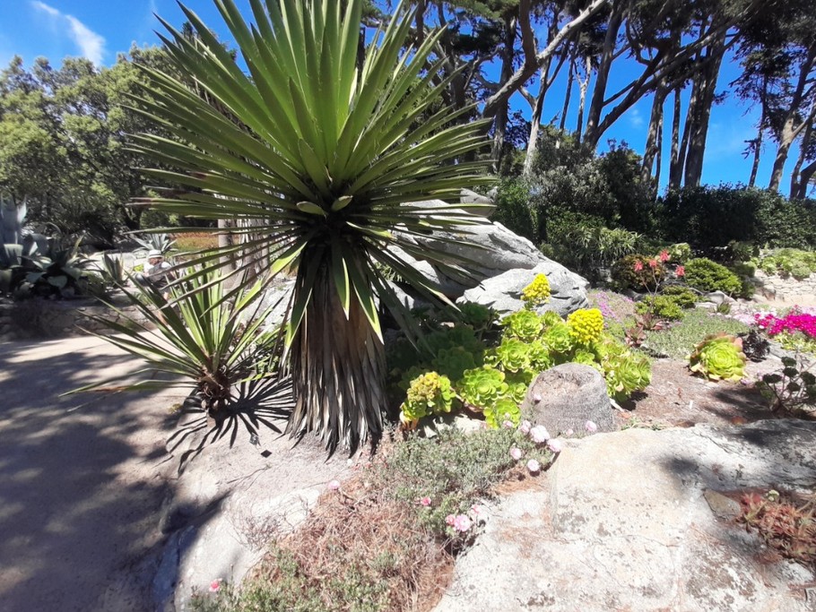 Jardin DELASELLE Ile de BATZ