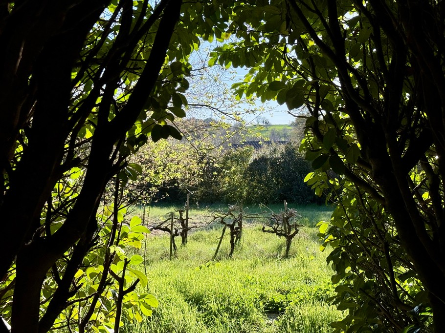 Photo n° 6 of the location