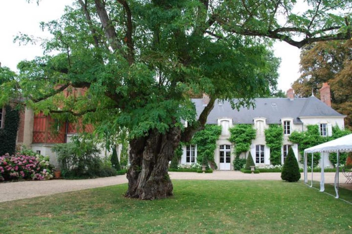 Photo n° 11 de la location