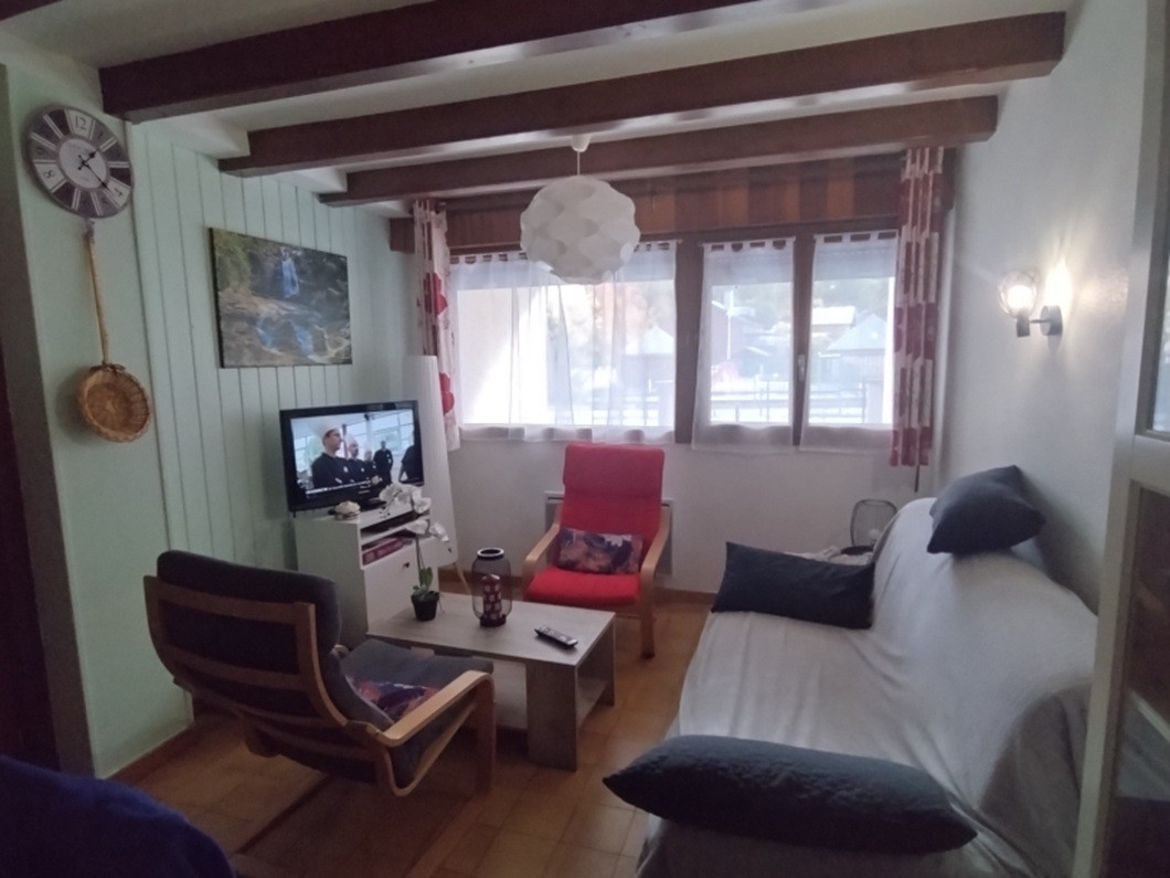 Coté salon avec TV, lecteur DVD, canapé lit