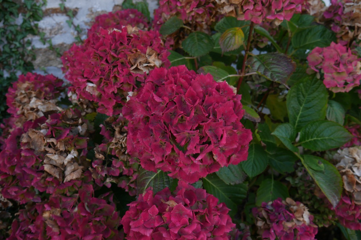 Photo n° 19 de la location