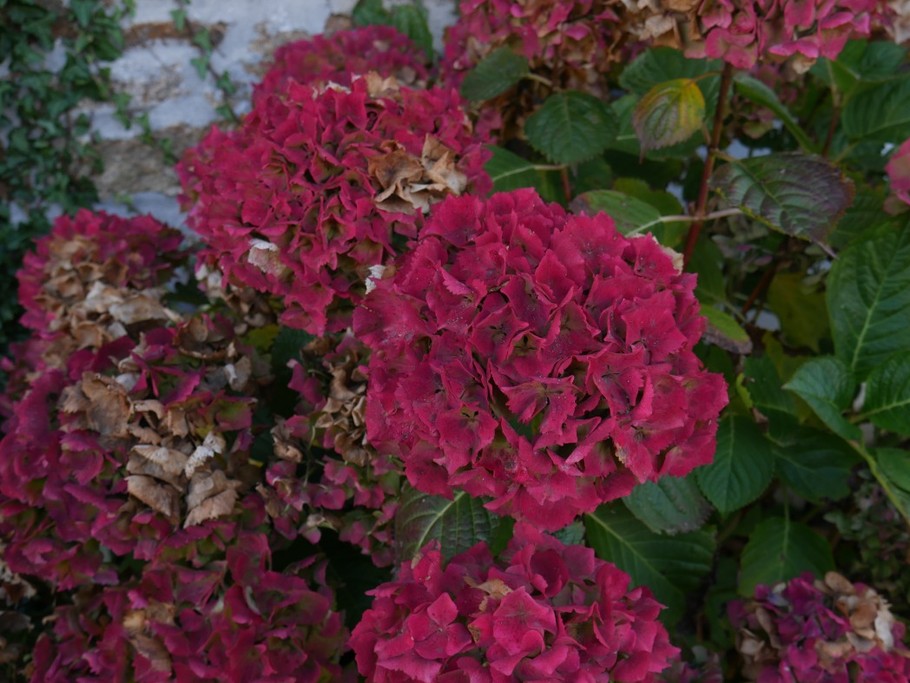 Photo n° 19 de la location