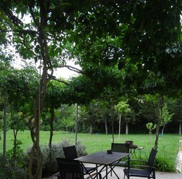Image n° 3 de la location