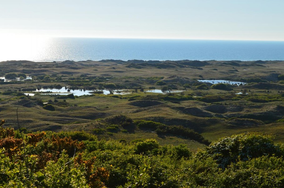 Photo n° 0 of the location