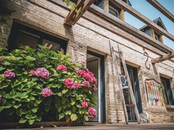 Terrasses et pergolas en bois de réemploi