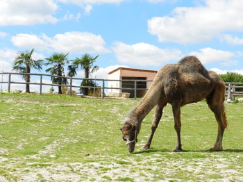 Photo n° 6 of the location