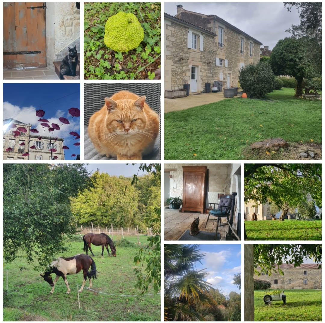 Le Jardin des Bosquets
