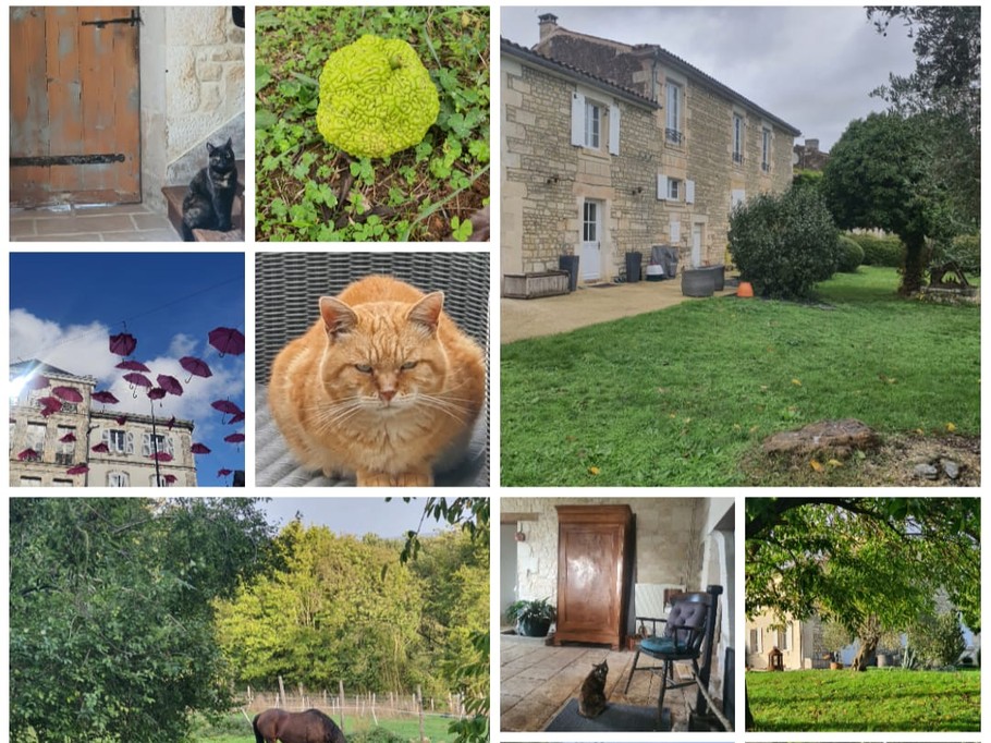 Le Jardin des Bosquets