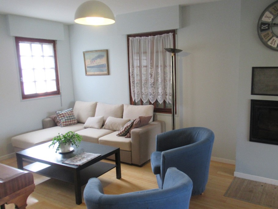 Salon - Insert cheminée