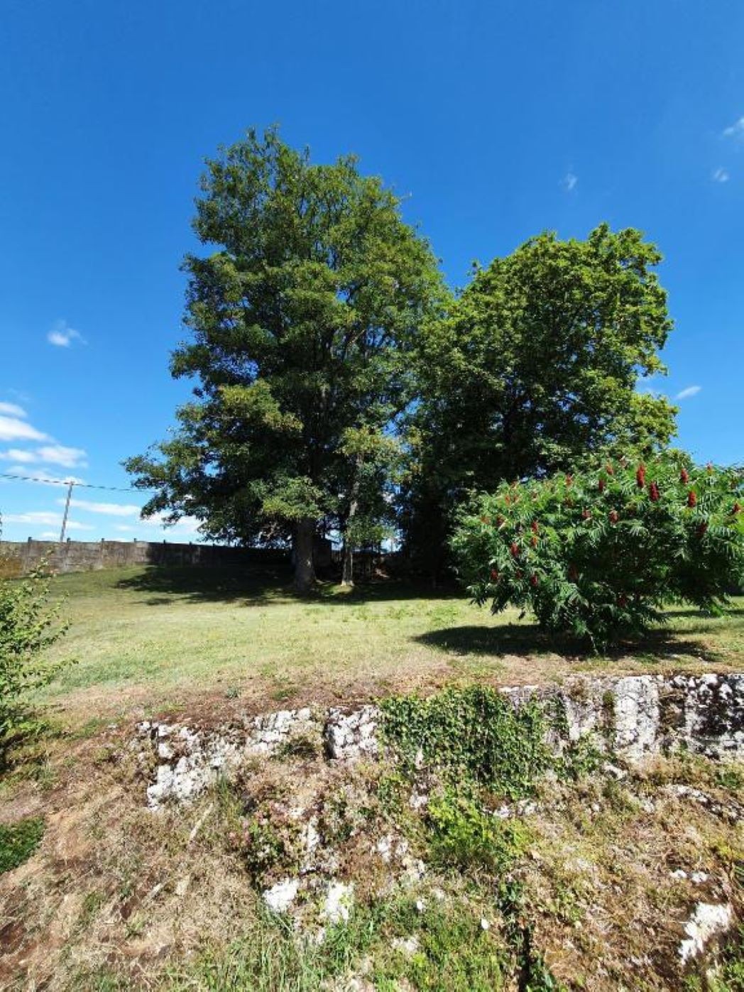 Photo n° 4 de la location
