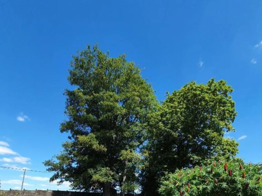 Photo n° 4 de la location