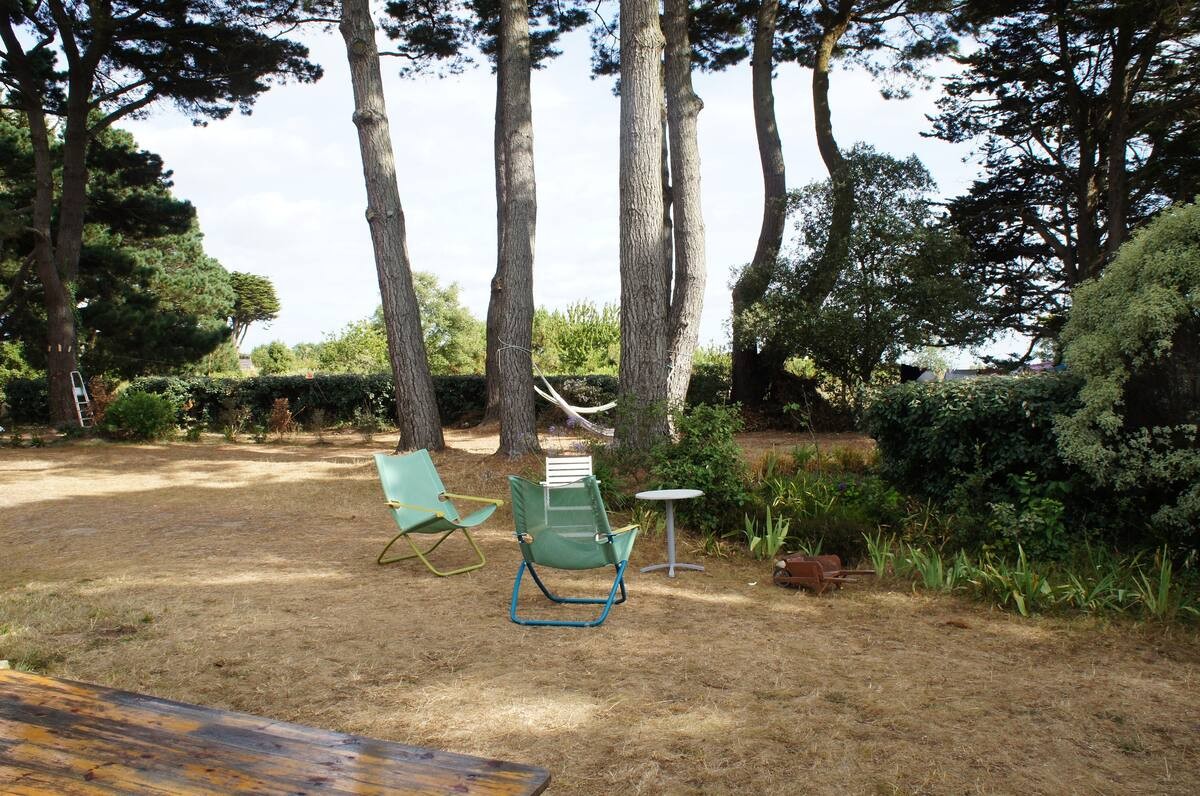 près des pins