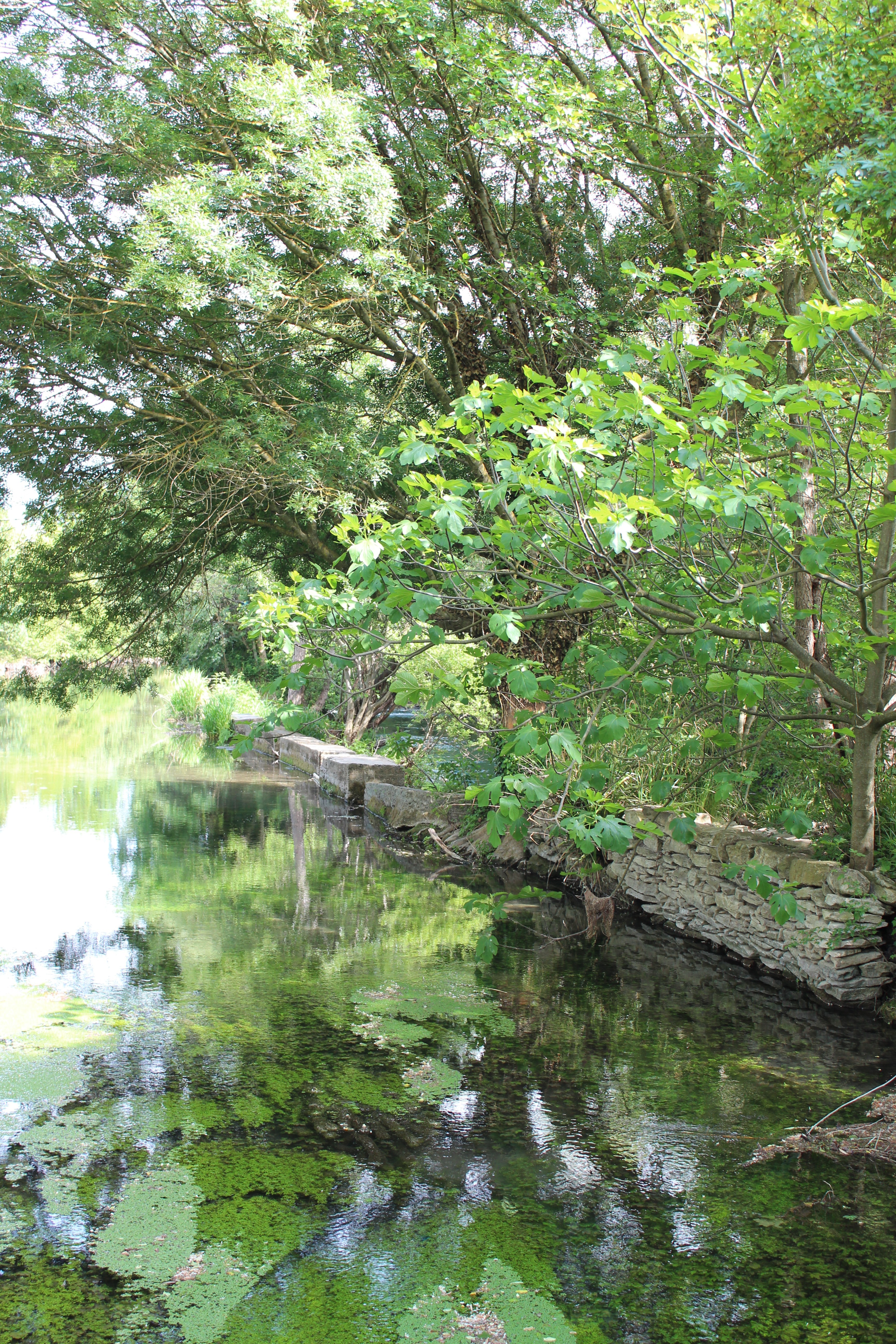 private riverside