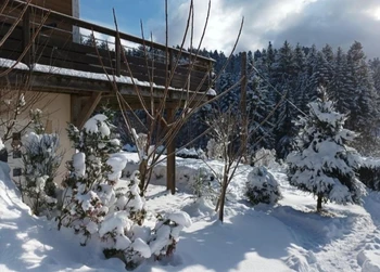 Chambre d'Hôtes "Fleur de Lorraine" à Xonrupt-Longemer au cœur des Vosges