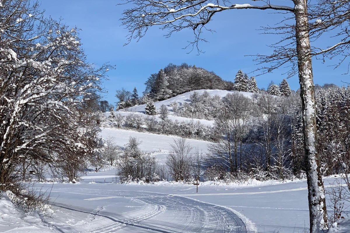 Photo n° 9 of the location