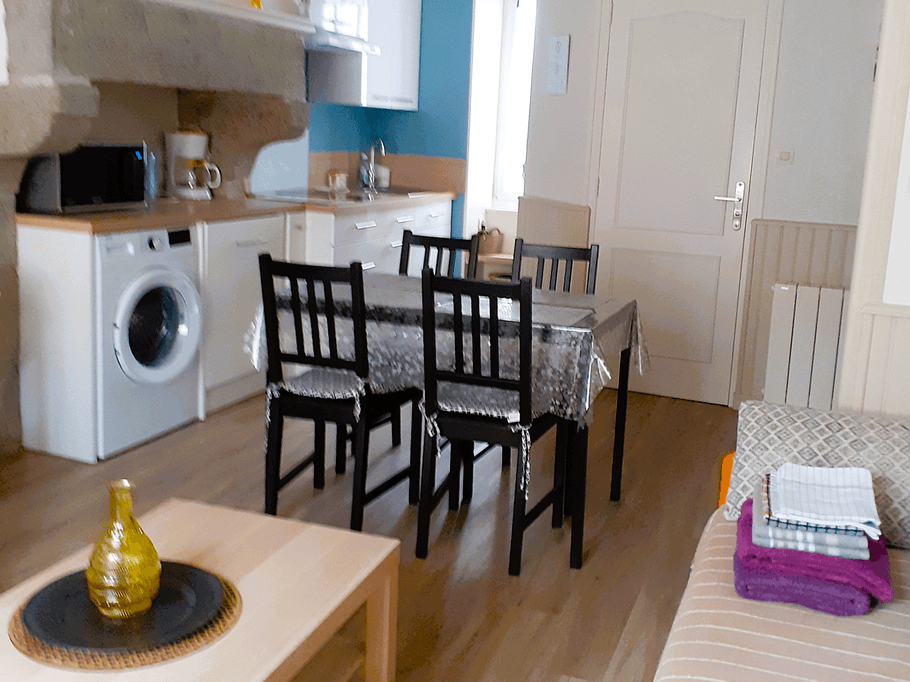 Pièce de vie avec coin cuisine toute équipée, séjour et salon (canapé convertible 1 personne).