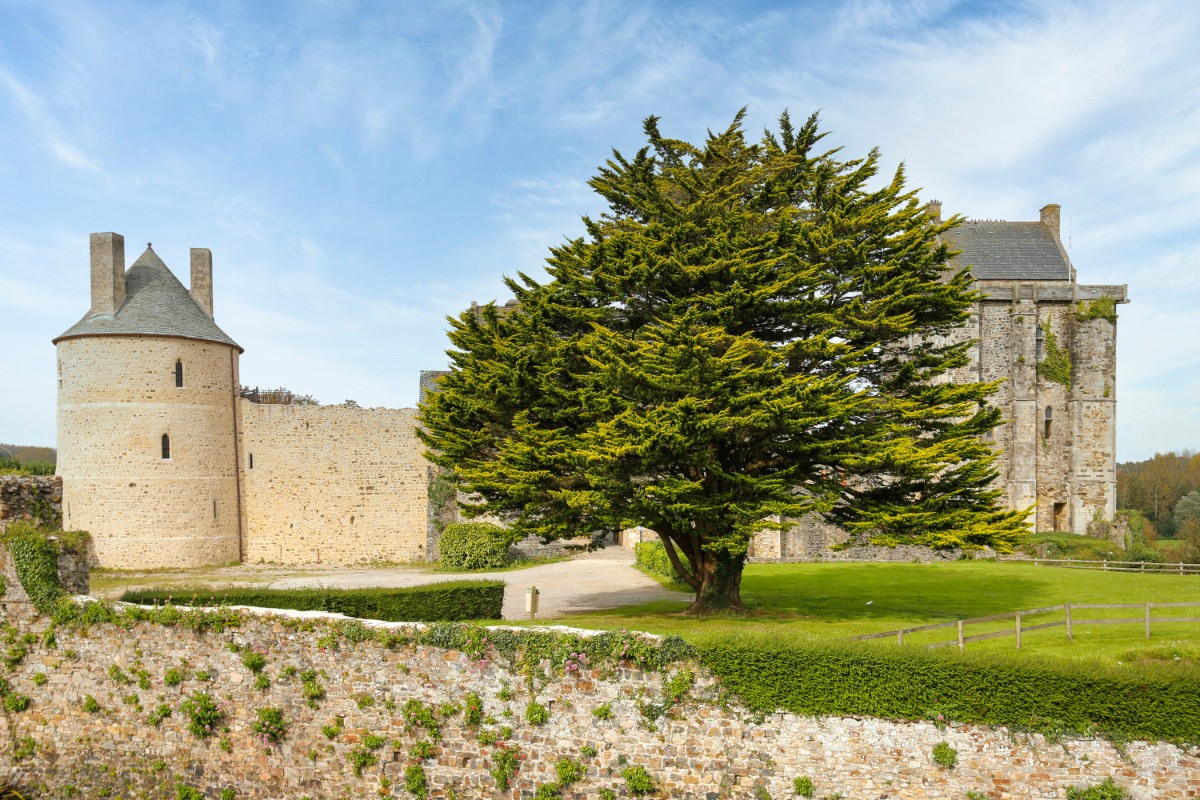 Vue de la chambre