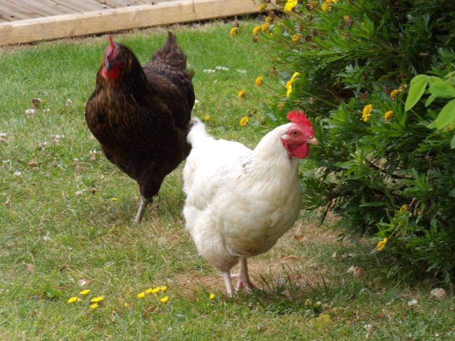 Photo n° 15 of the location