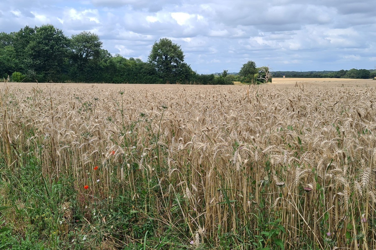 Photo n° 16 of the location