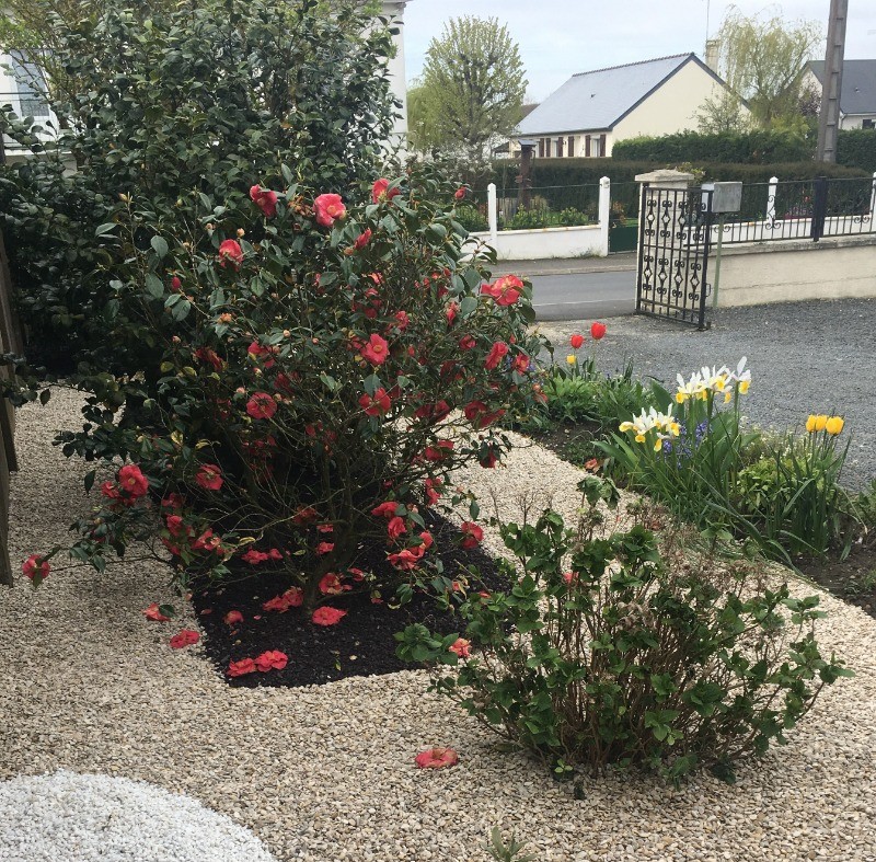 Photo n° 7 de la location