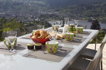 La terrasse