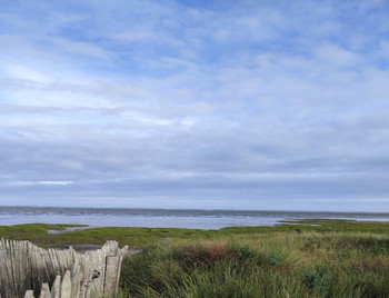 Le "Chemin d'Oléron" au départ de Château d'Oléron