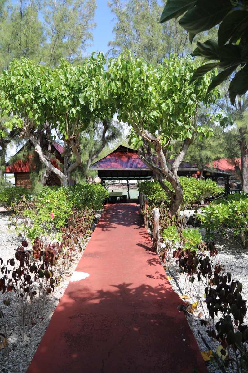 Photo n° 5 de la location