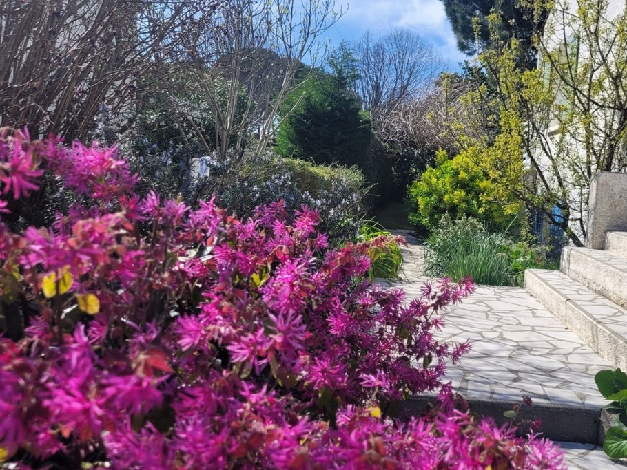 Photo n° 7 de la location