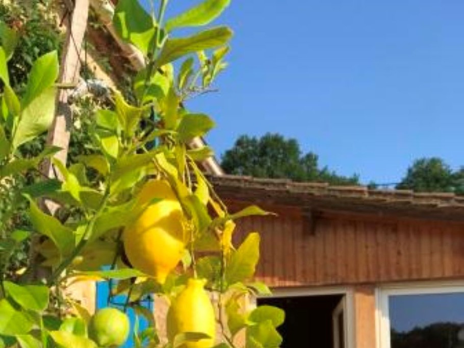 Photo n° 1 of the location