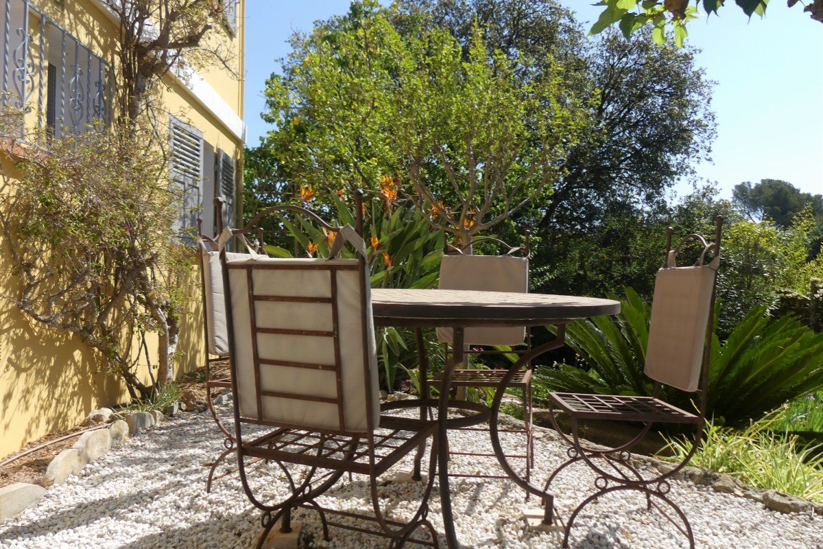 terrasse sous murier platane