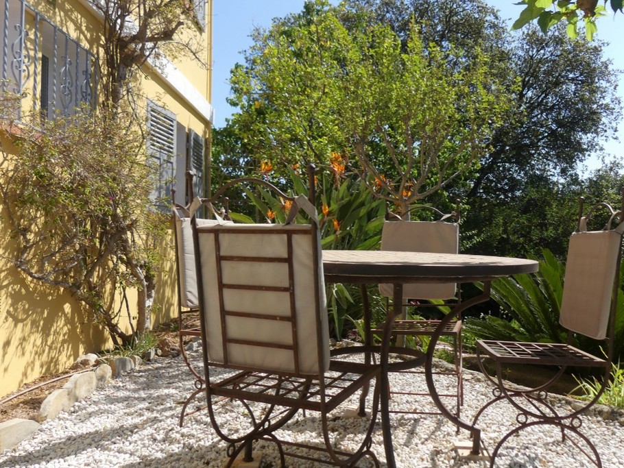 terrasse sous murier platane