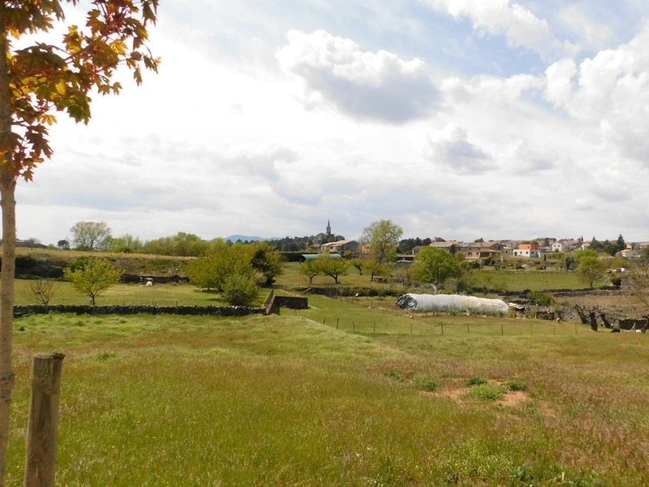 Photo n° 19 de la location