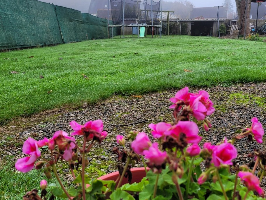 Photo n° 19 de la location