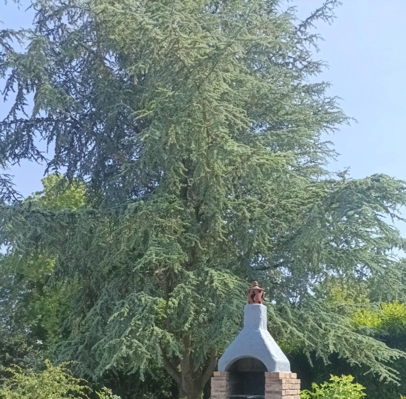 Photo n° 13 of the location