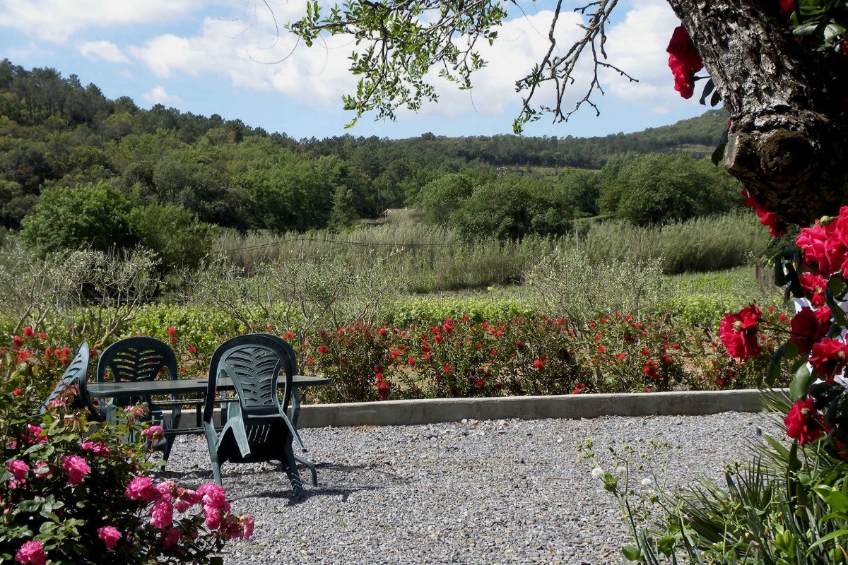 Vue du balcon sur le jardin