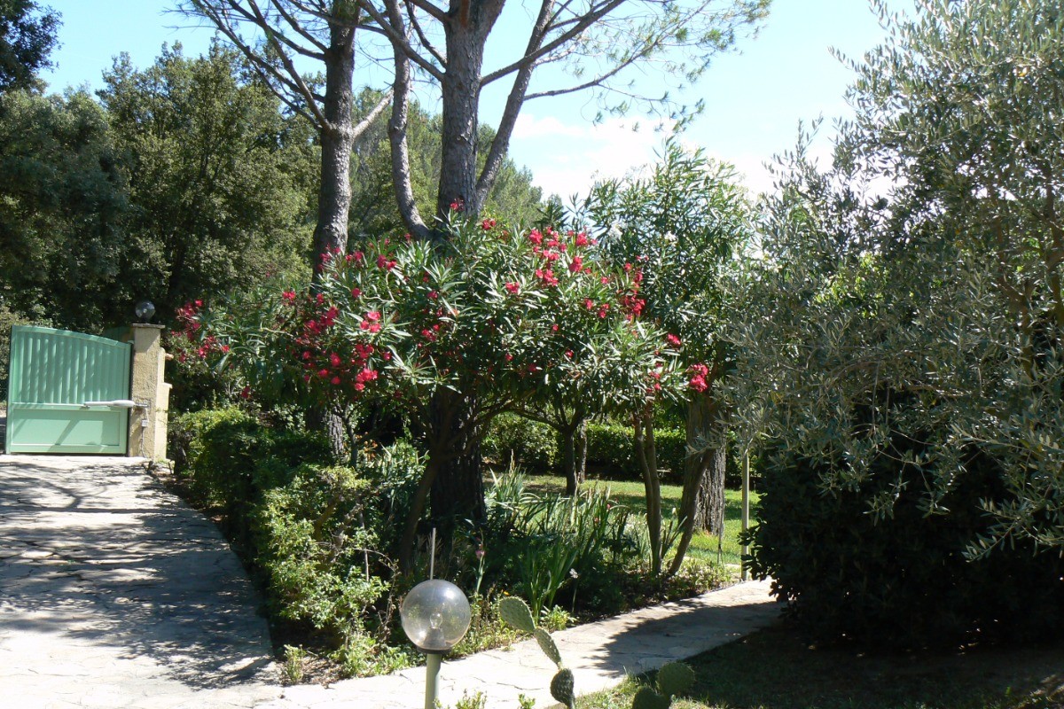 Allées du jardin et portail