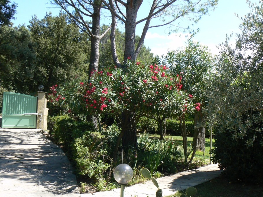 Allées du jardin et portail