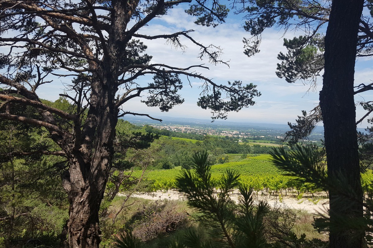 Valréas, promenade bornes papales