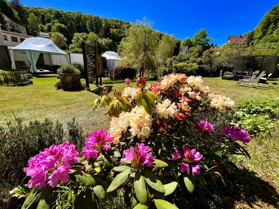 Photo n° 13 of the location